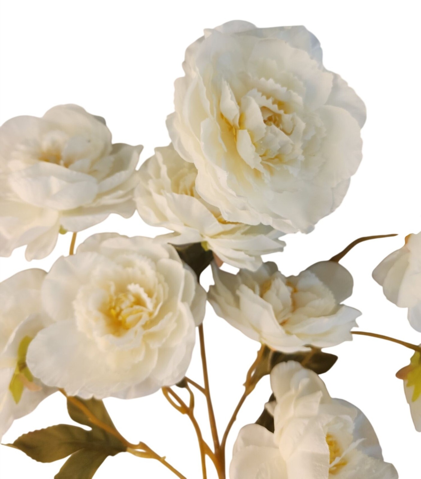 Cream Ranunculus Stems, Faux Ranunculus Flowers, Artificial Flowers, Ivory Flora