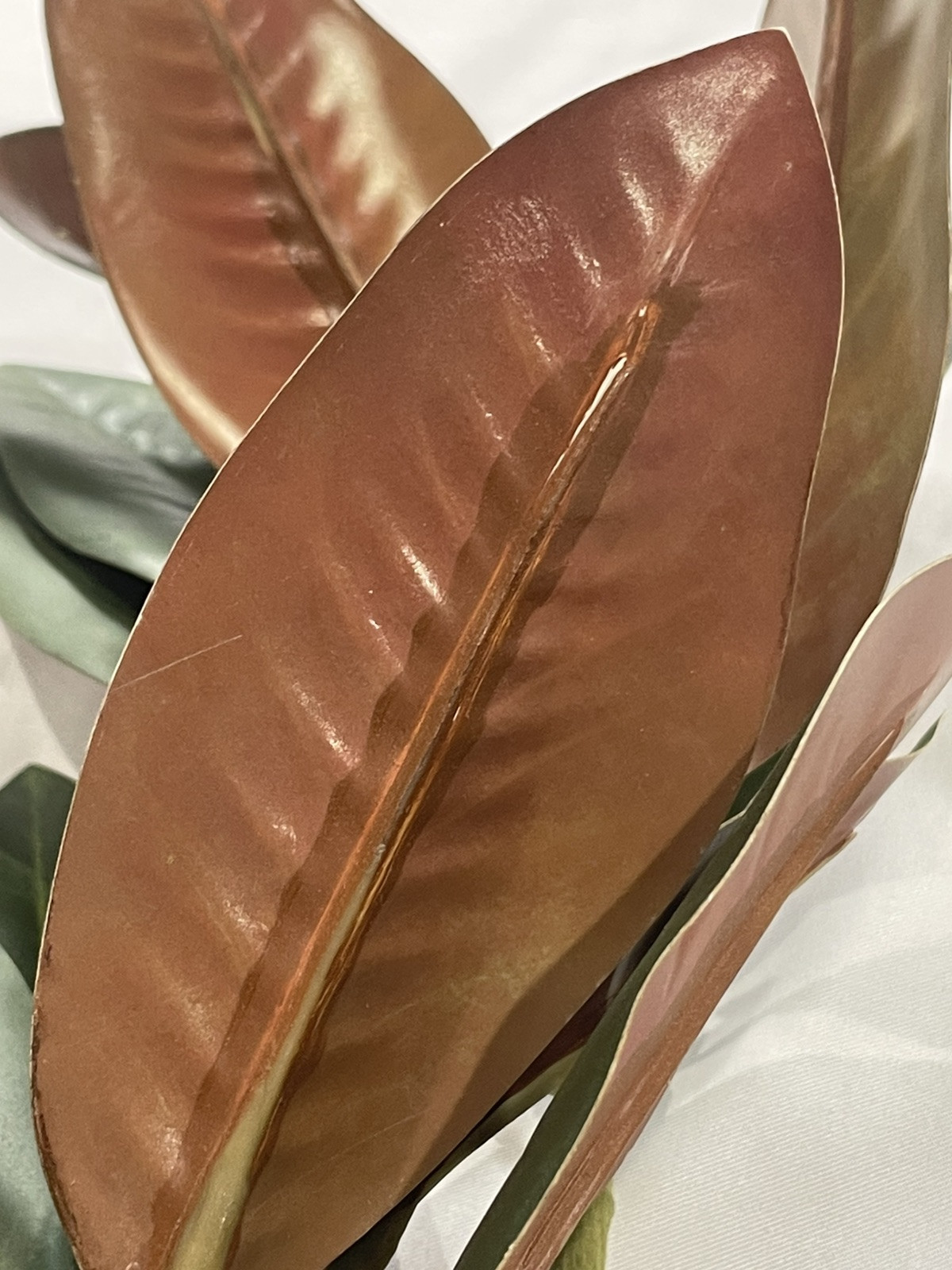 3 Pcs Magnolia Artificial Leaves Branches Faux Magnolia Leaf with Long Stems