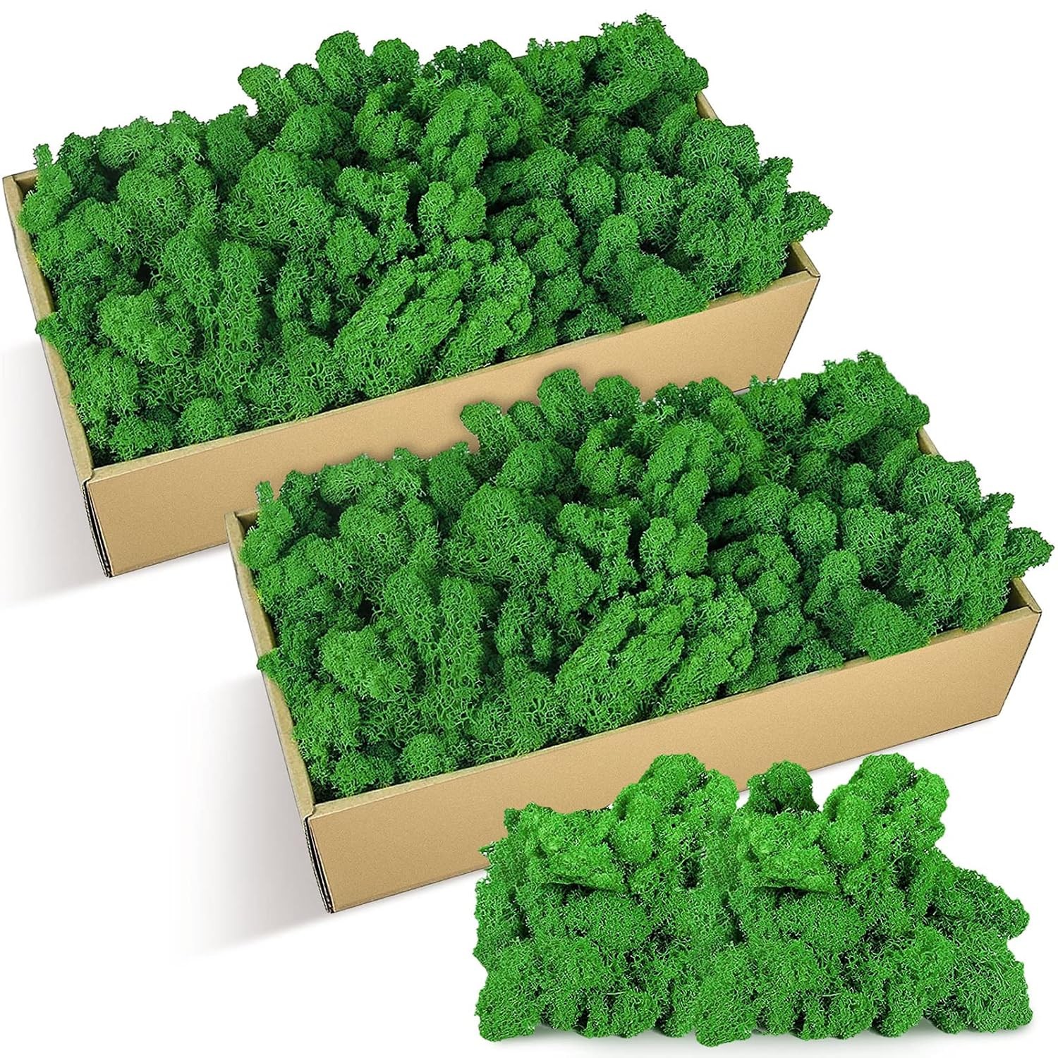 Jadive 21.2 oz Moss Preserved 1.32 Lbs Green Preserved Reindeer Moss Bulk Artifi