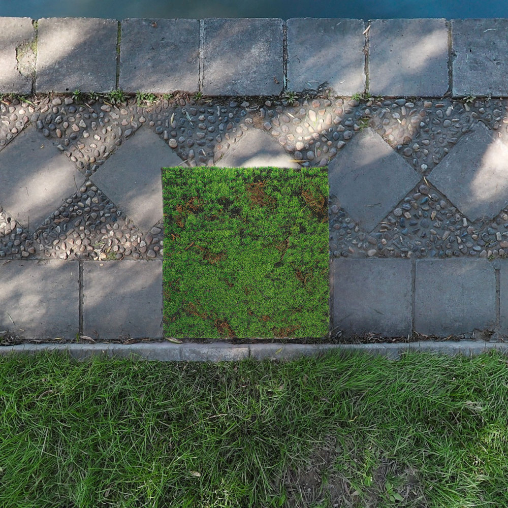 Artificial Moss Mat Decorative Simulated Turf Fake Grass for Project Plastic