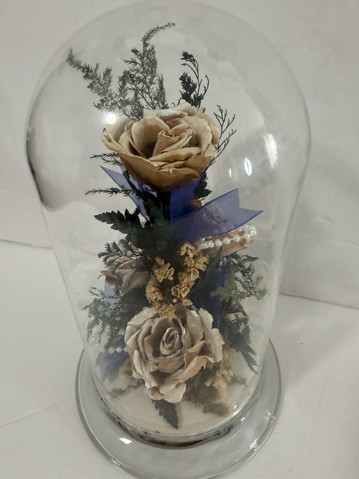 Natural Expressions Real Freeze Dried Rose Floral Dome Glass Display 8”