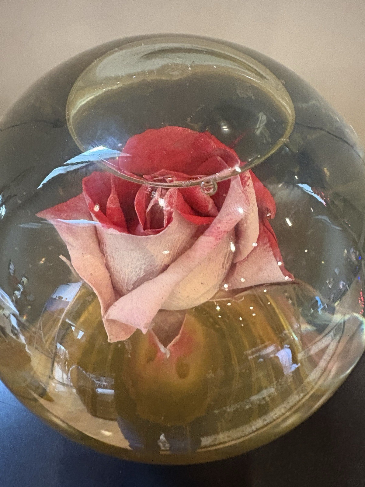 Vintage Preserved Real Rose in Glass Water Dome Globe