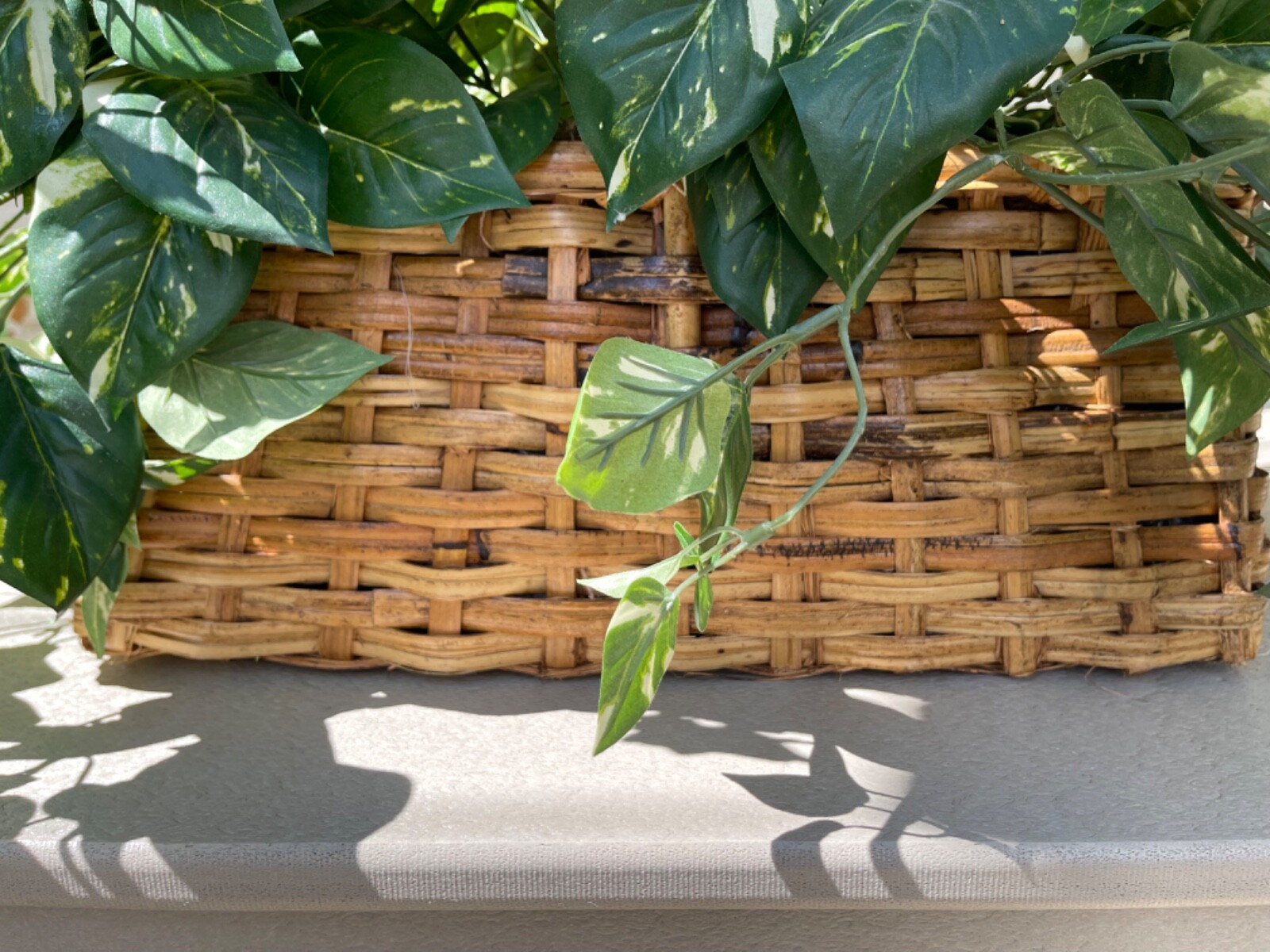 Large Artificial Variegated Philodendron in Handled Woven Bamboo Basket