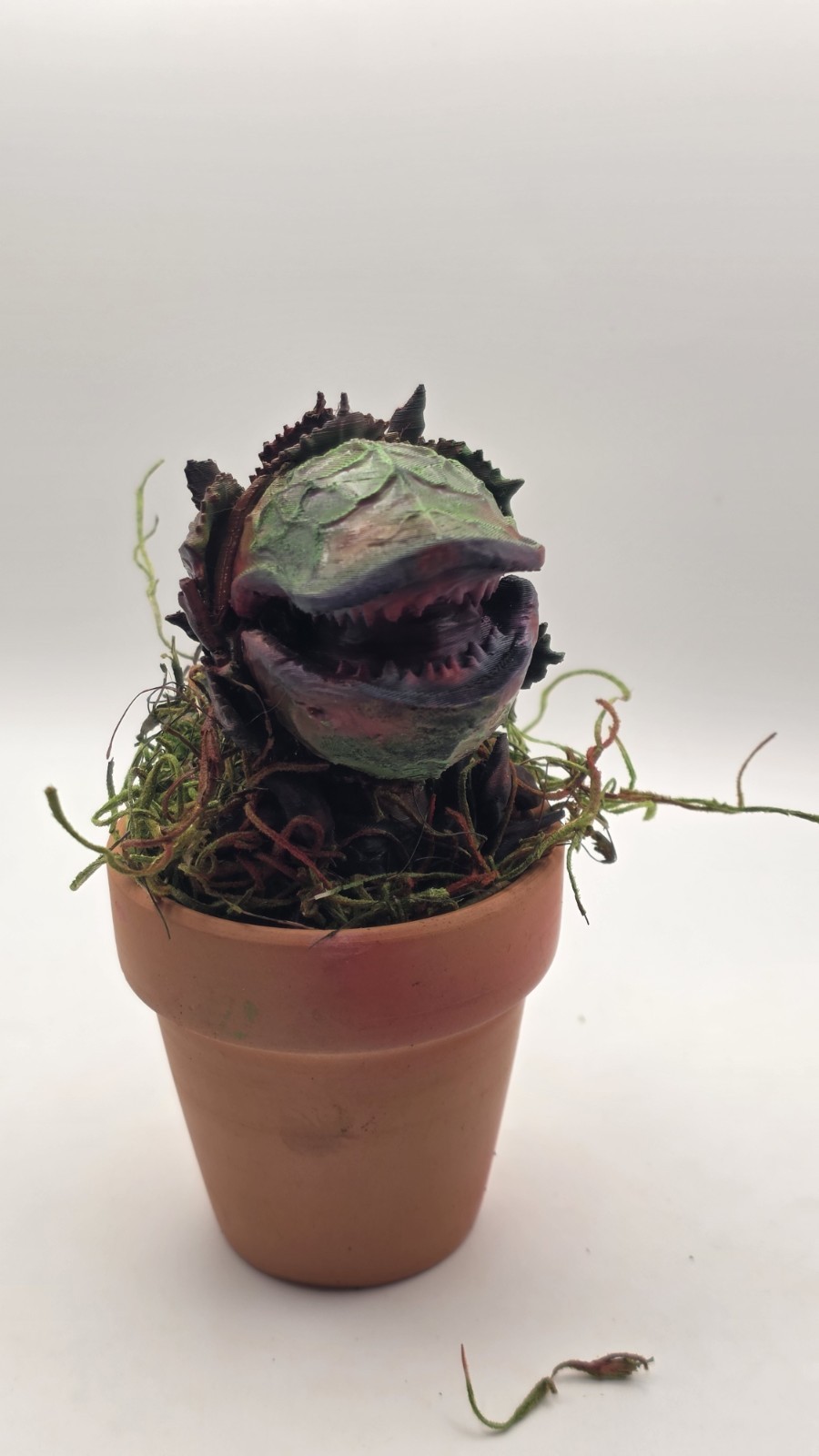 Audrey II Little Shop of Horrors Airbrushed Carnivorous includes Pot & Moss 5″