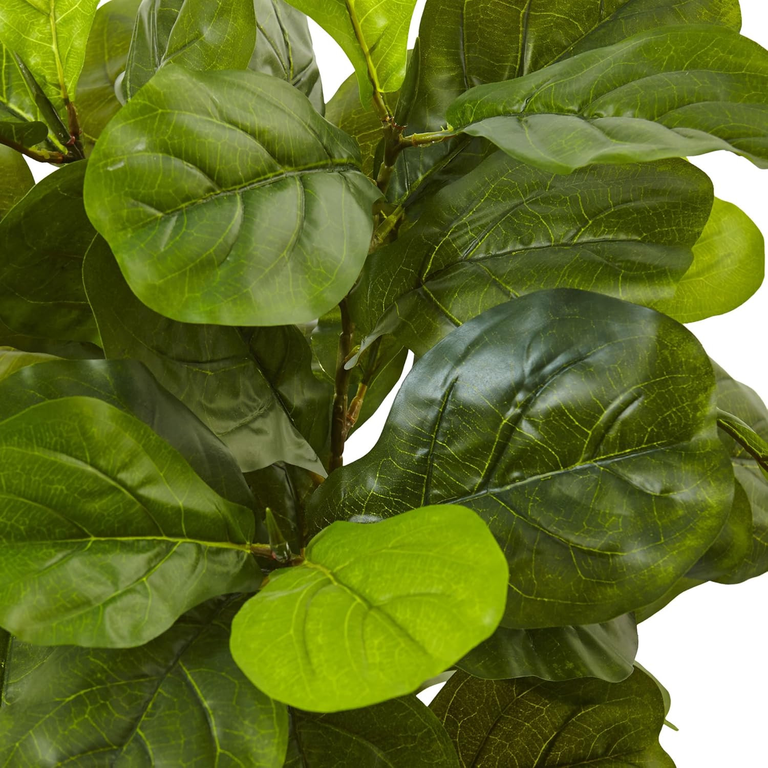 4.5Ft Real Touch Fiddle Leaf Fig in Elegant White Planter
