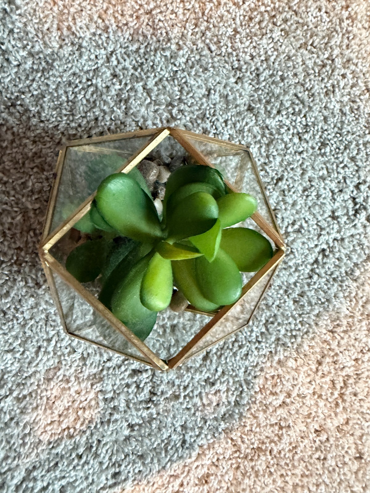 5″ x 4″ Artificial Succulent Plant with Brass Terrarium – Opalhouse