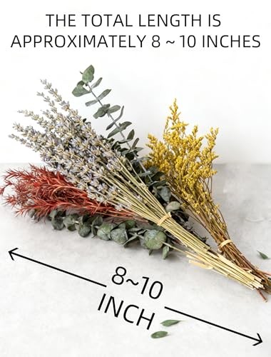 12 Kind Dried Flowers Set Natural Floral Bouquet for DIY Crafts Wedding Home Dec