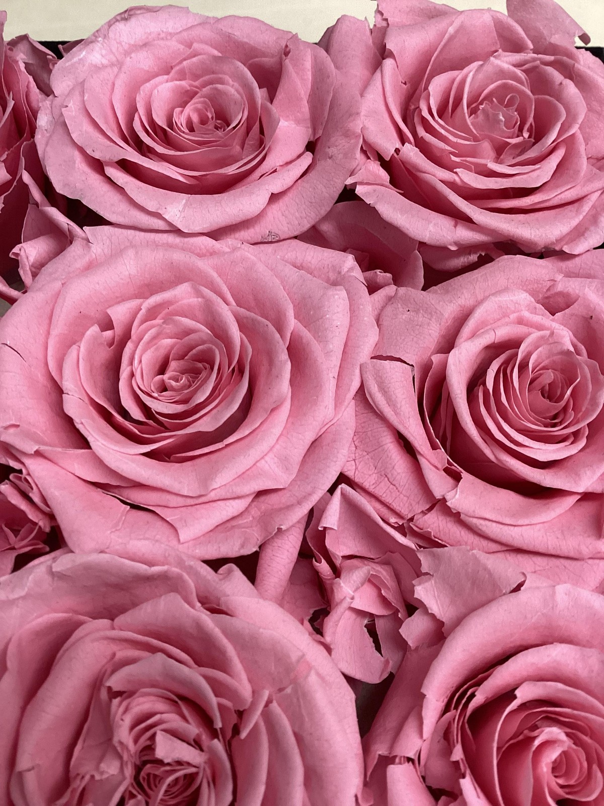 Rose Forever New York 9 Pink Roses Black Velvet Square Flower Box Display Decor