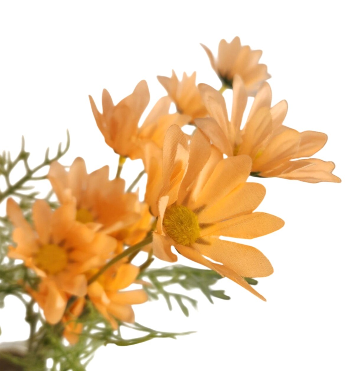 Peach Apricot Faux Daisy Stem 20 Inch Artificial Wildflower Set of 6 Farmhouse F
