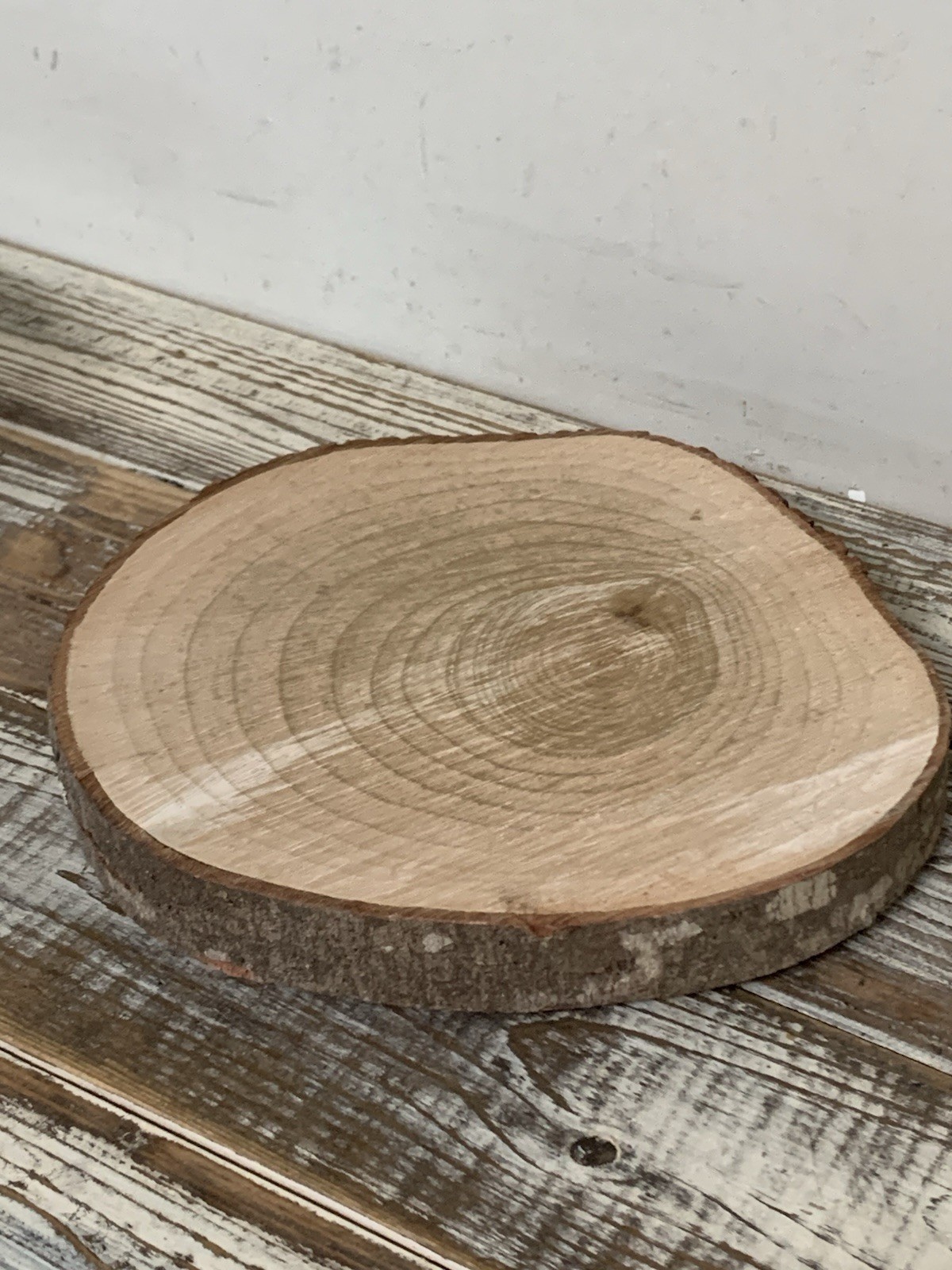 Rustic Style 2 Pc Cloche Set Rough Cut Tree Slab W/Glass Done 6.5” Tall