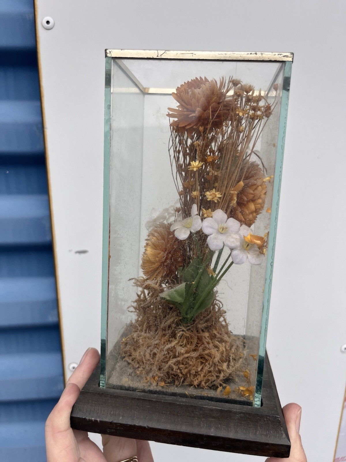 Vintage Dried Floral Terrarium Wood Display Case Boho Whimsy Leonard Creations