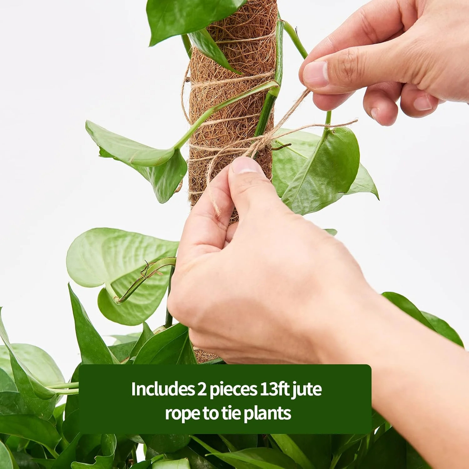 Eibikdi 6 Pcs Moss Pole Extending to 68 Inches for Plants Monstera, Plant Suppor