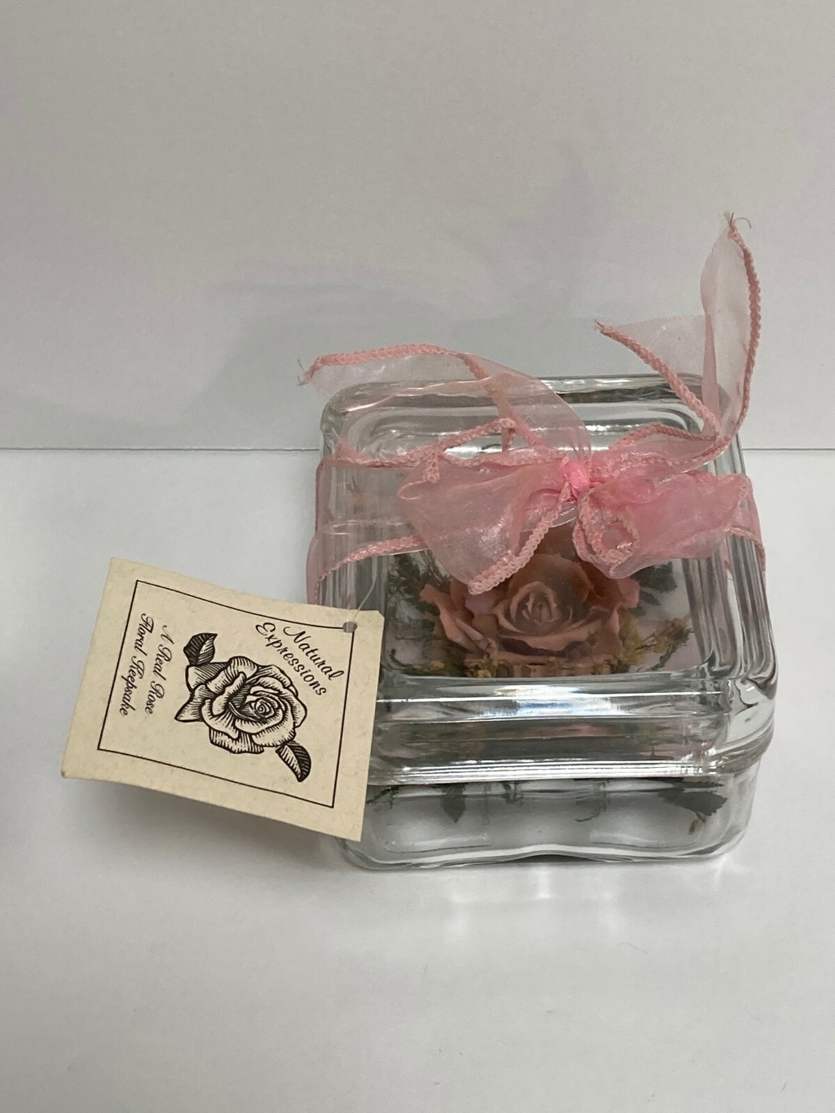 Vintage Natural Expressions. Real Freeze Dried Rose. Glass Floral Keepsake.
