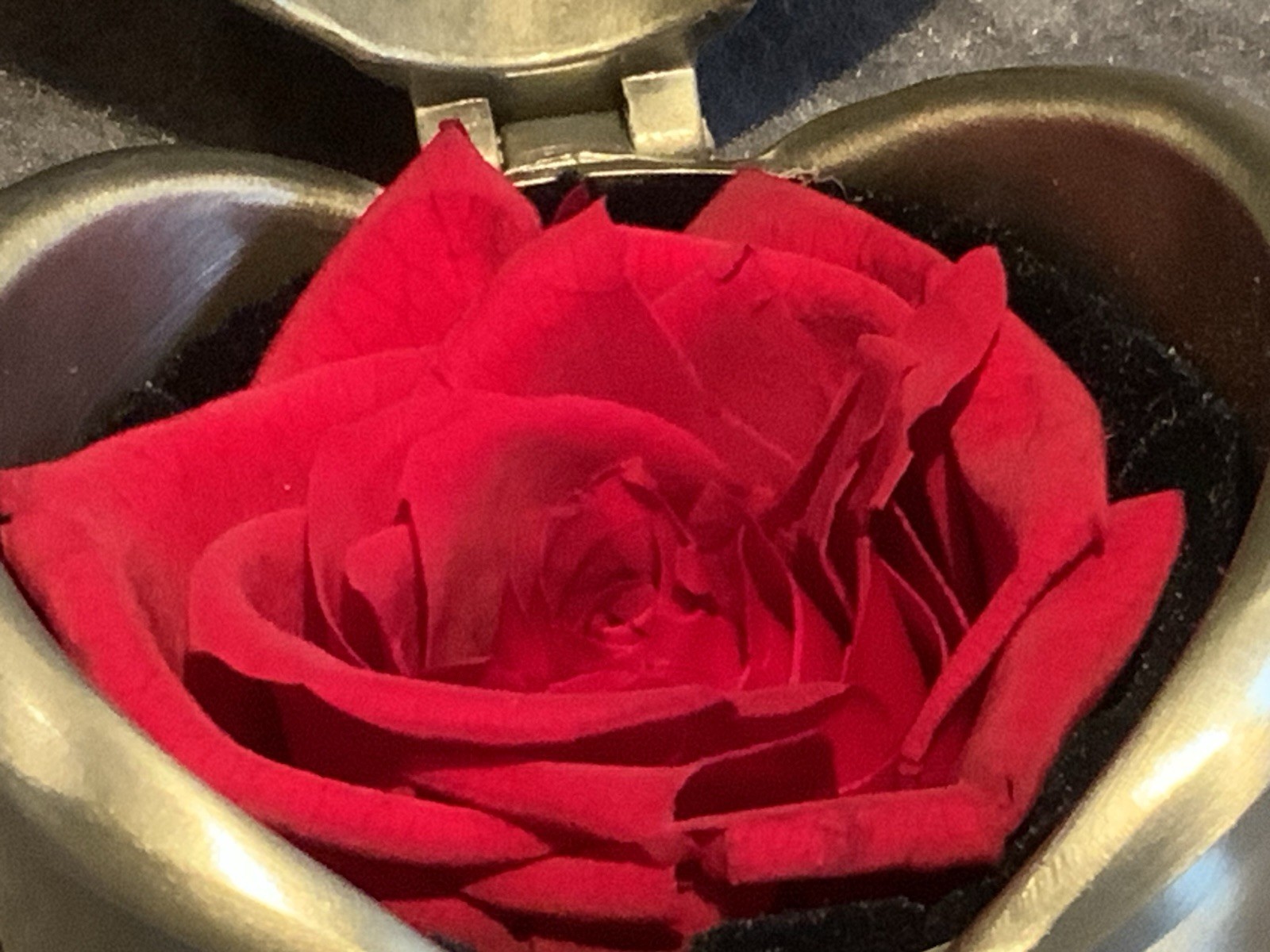 DYstyle Preserved Red Rose in Brushed Metal Gift Box
