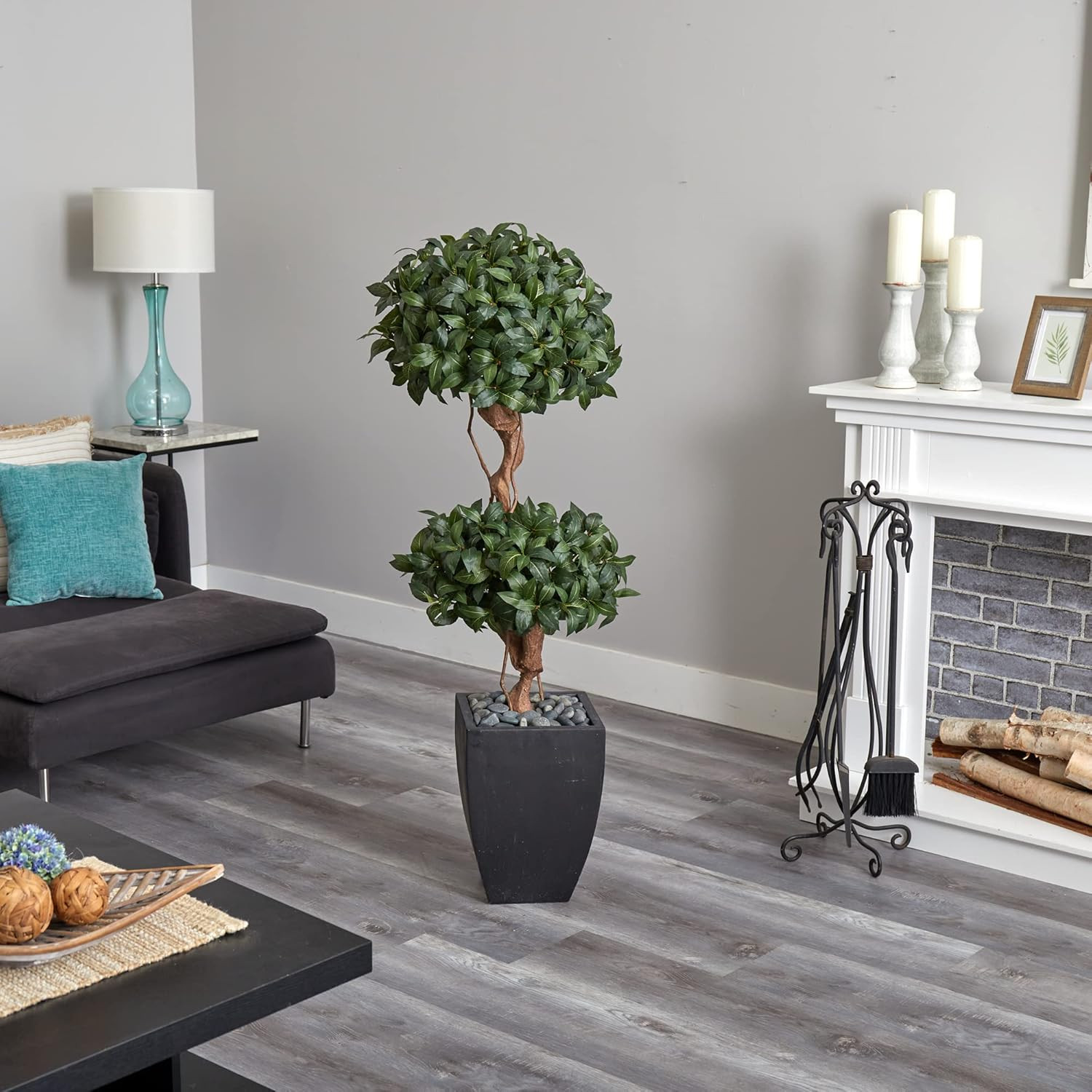 4.5Ft Sweet Bay Double Topiary Tree in Elegant Black Wash Planter