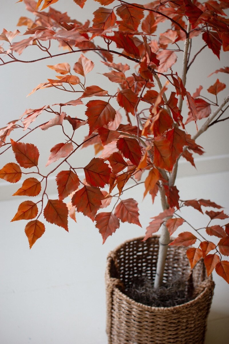Artificial Autumn Birch Tree In Black Plastic Pot Designed For Home Display