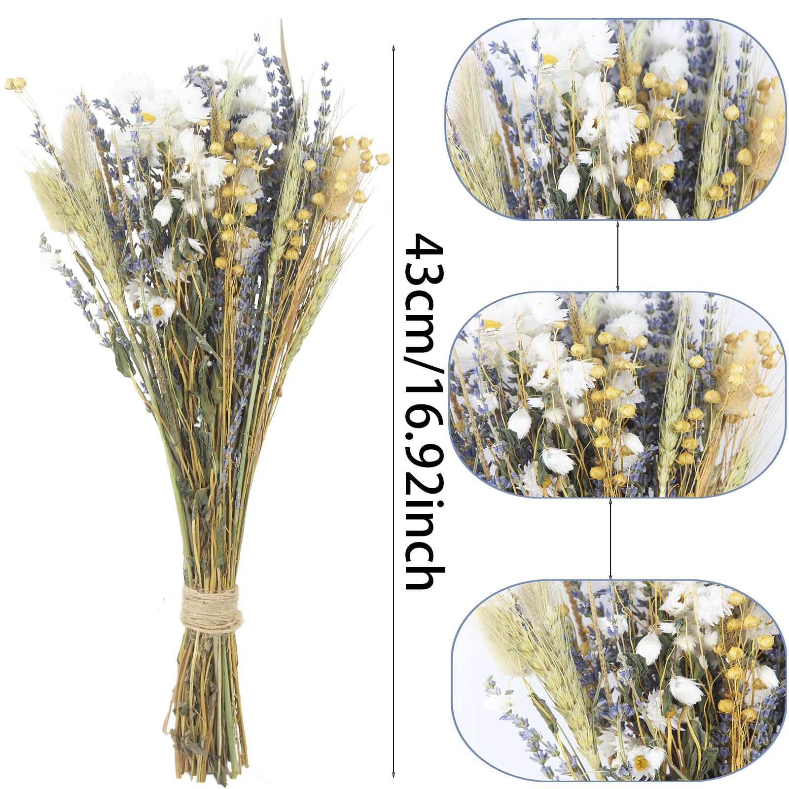 Dried Flowers Bouquet Dried Daisy Flowers Natural Lavender Bundles Dried