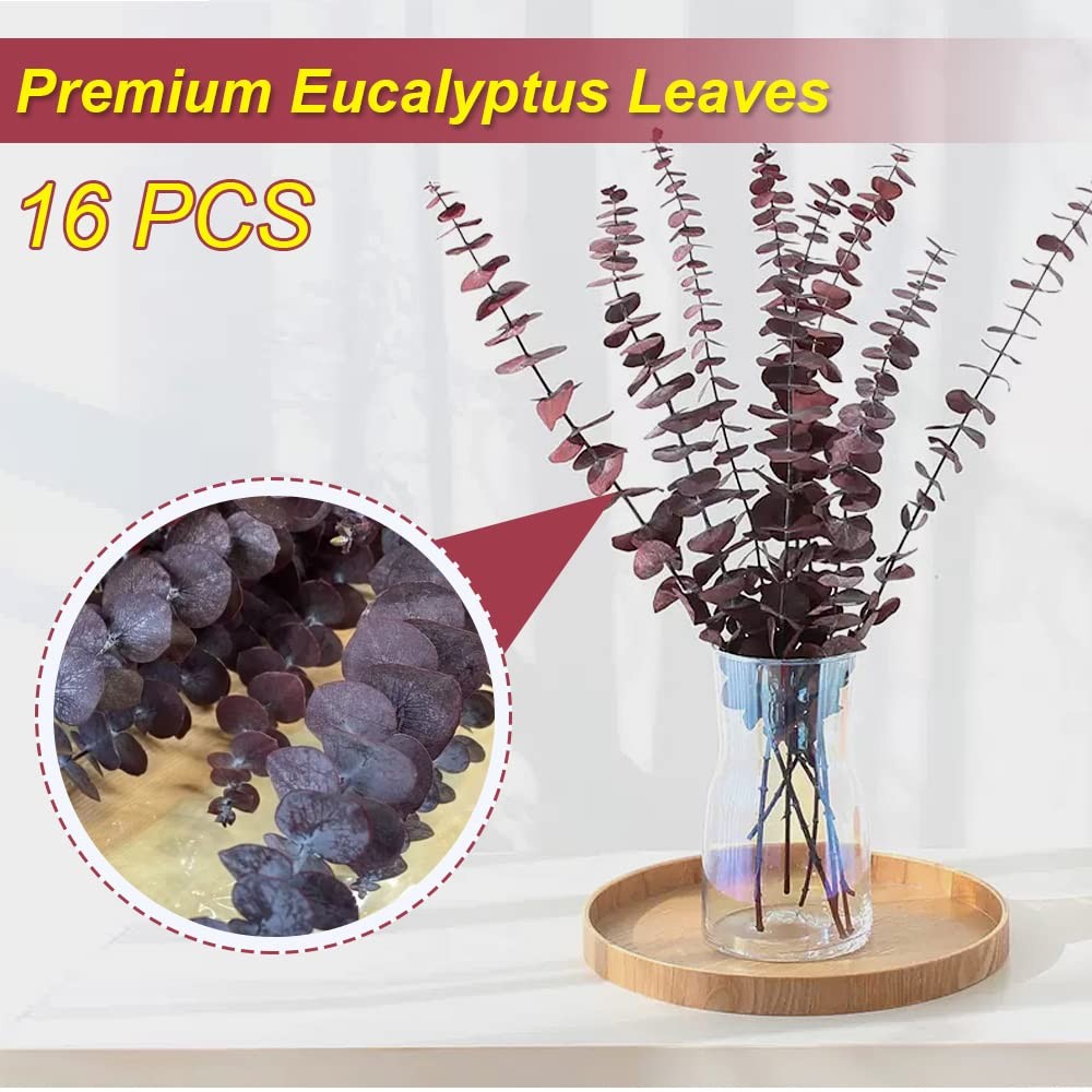 16Pcs Dried Red Eucalyptus Stems 17”, Real Preserved Branches