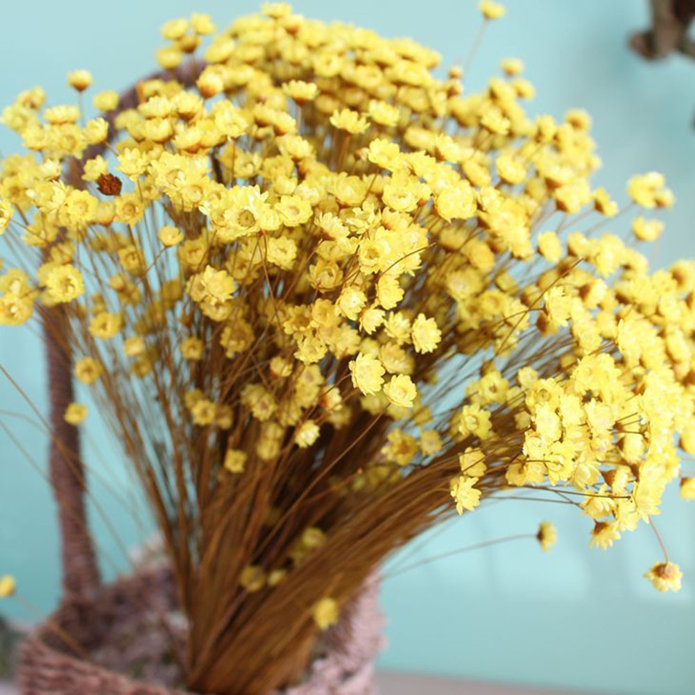 100Pcs Handmade Small Star Flower Dried Flowers Mini Daisy Yellow Floral Display