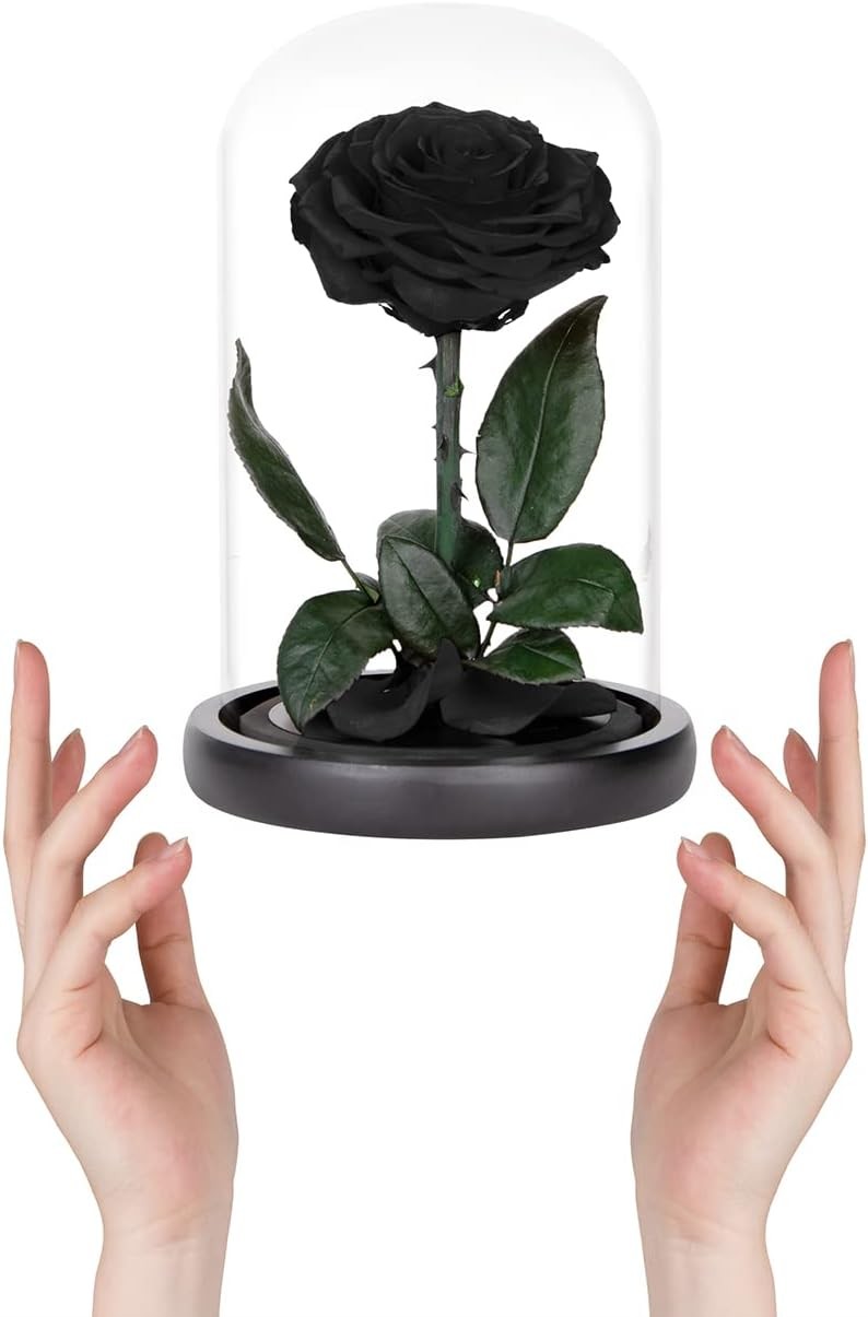 Preserved Roses Black in Glass Dome, Medium, Real Rose