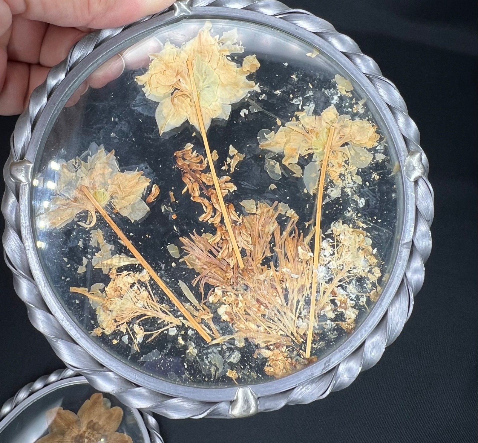 Vintage Lasting Impressions Real Dried Pressed Flowers In Glass Metal Frames (2)