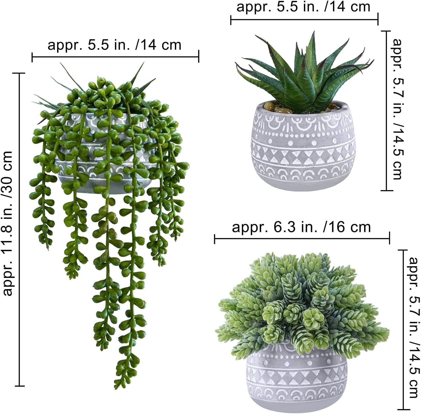 Assorted Small Potted Succulents for Modern Decor – No Maintenance Needed