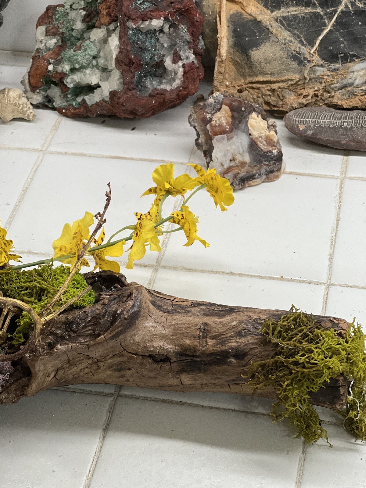 ONE OF A KIND FLORAL ARRANGEMENT REAL WOOD BASE ORCHIDS BITTERSWEET MOSSES