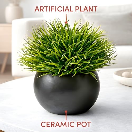 Fake Succulents Plants Artificial in Premium Ceramic Pots () 2 Pack Round