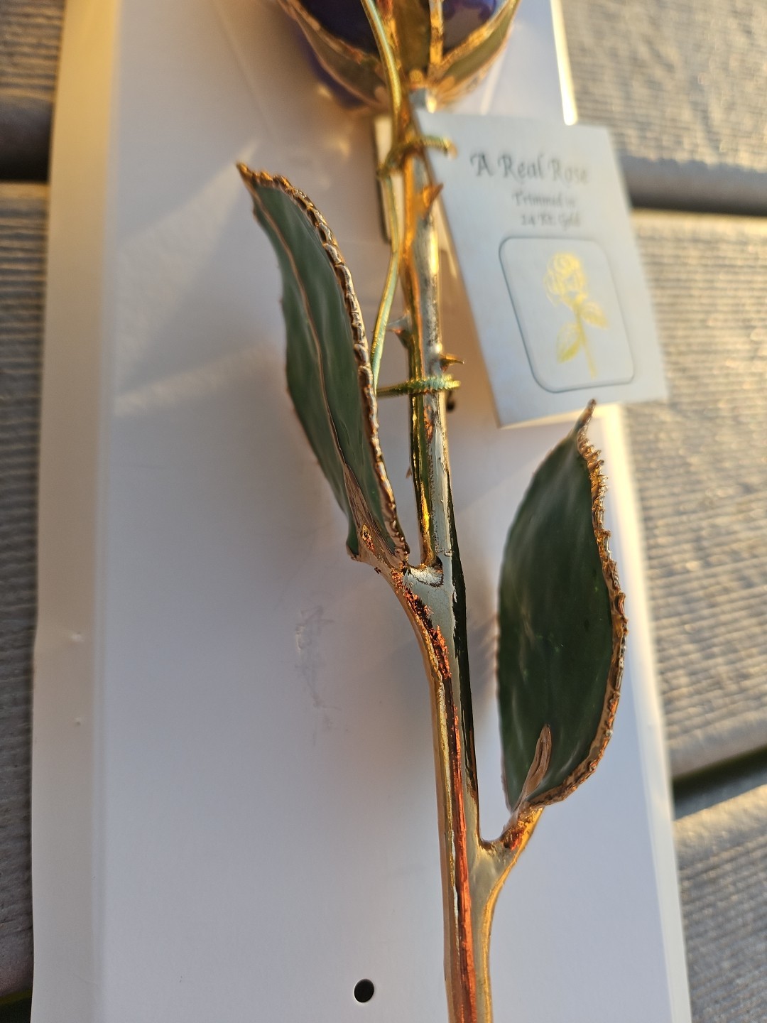 GIFT BOXED BLUE Lacquer Dipped 24K Gold Abracadabra Real Rose