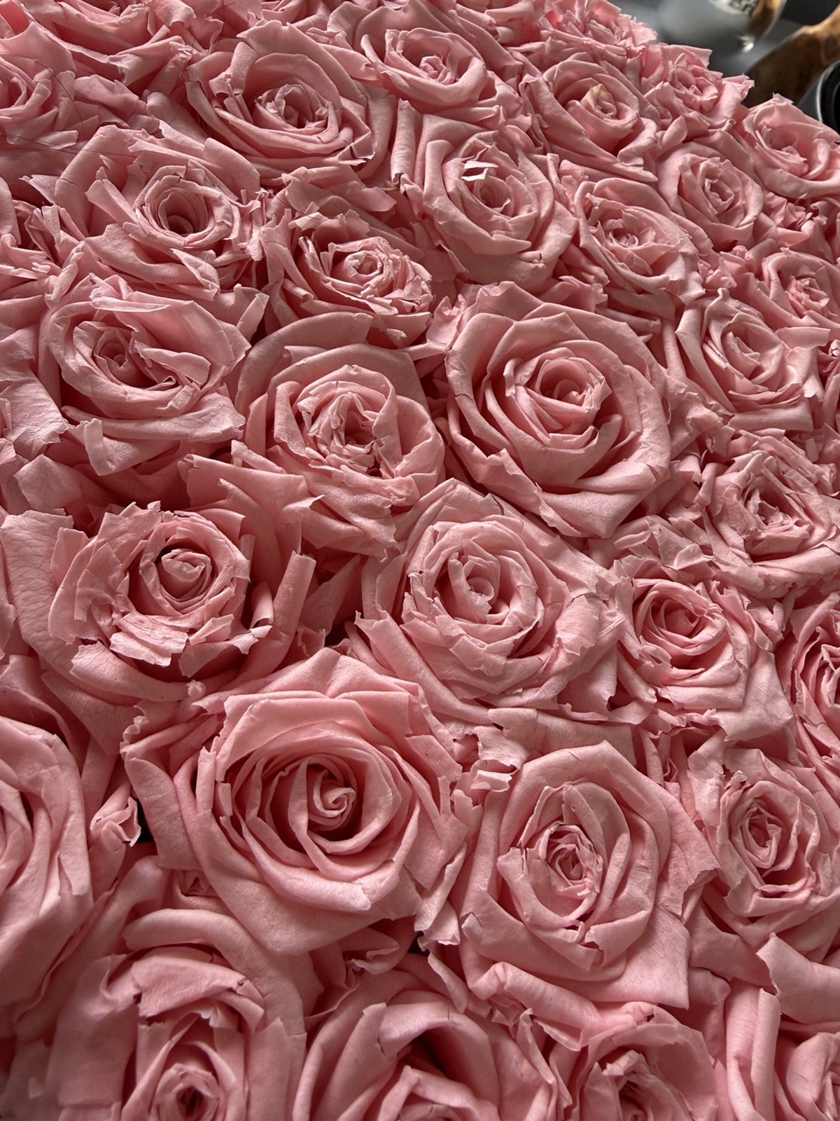 Superb Venus Et Fleur Blush Pink Roses Large Flower Box Arrangement 50 Roses