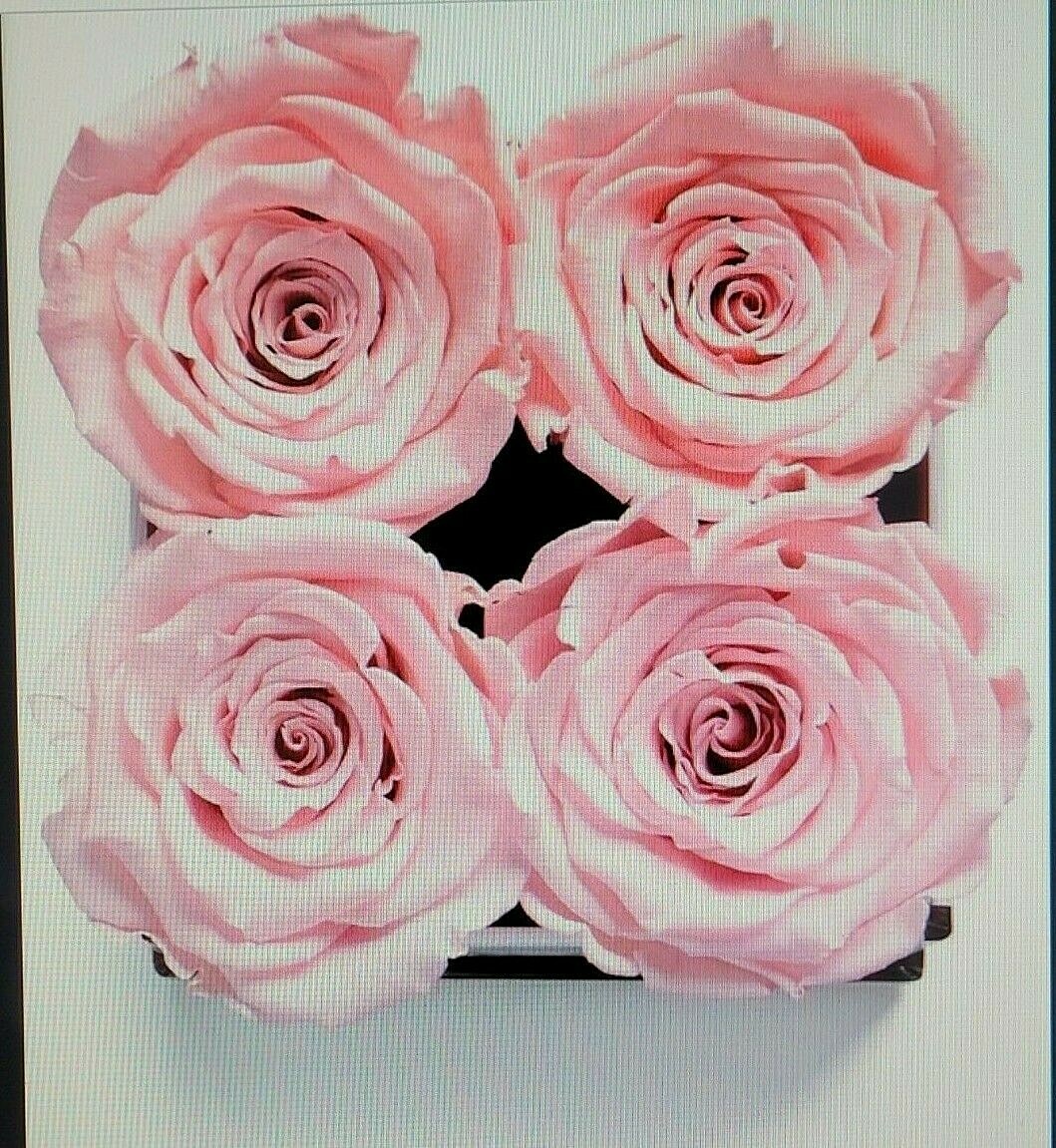 Soho Floral Arts 4 Real Long Lasting Pink Roses In A Black Box w/ Lid (NEW)