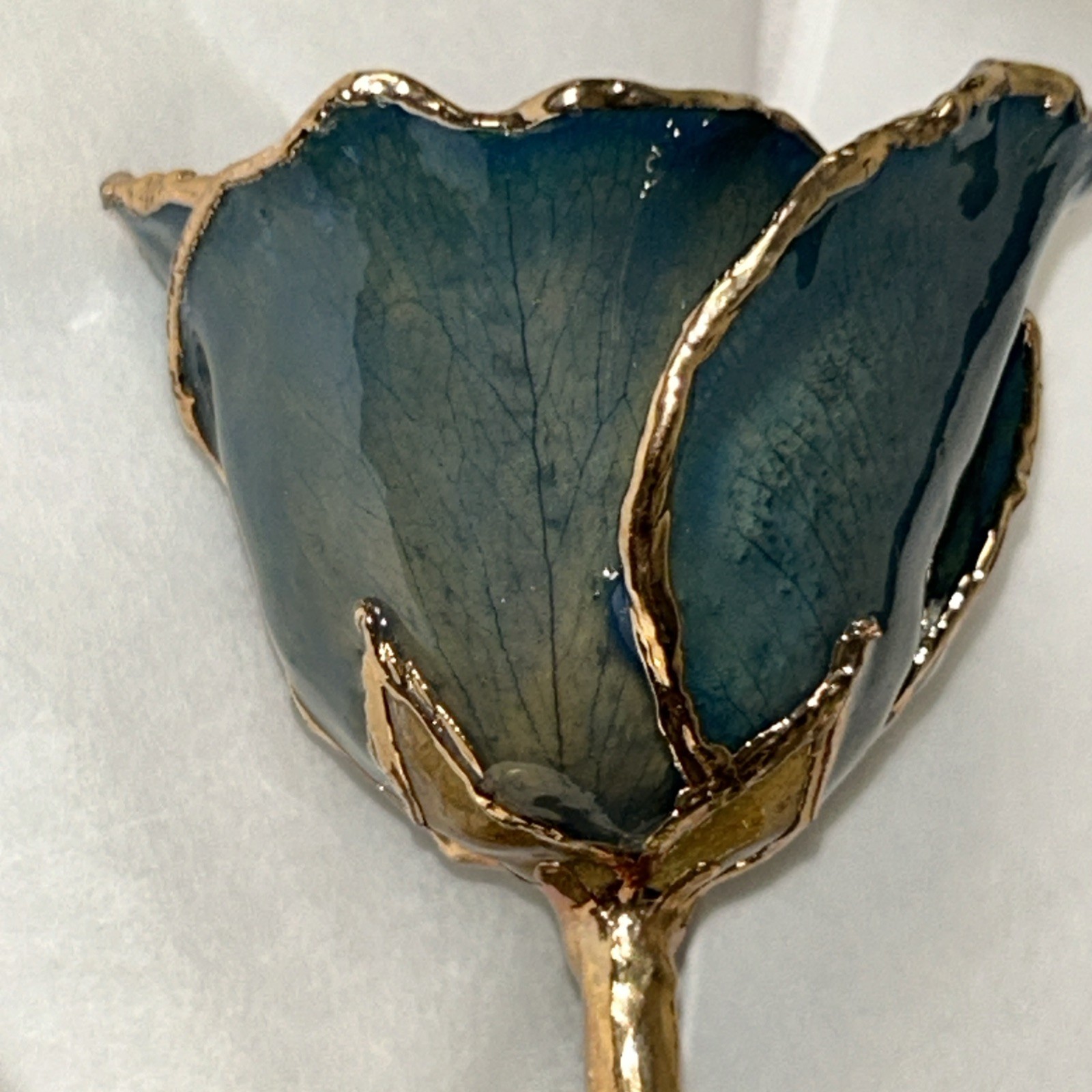 A Real Genuine Rose Trimmed in 24kt Gold 11”Timeless Rose, See Pics for details