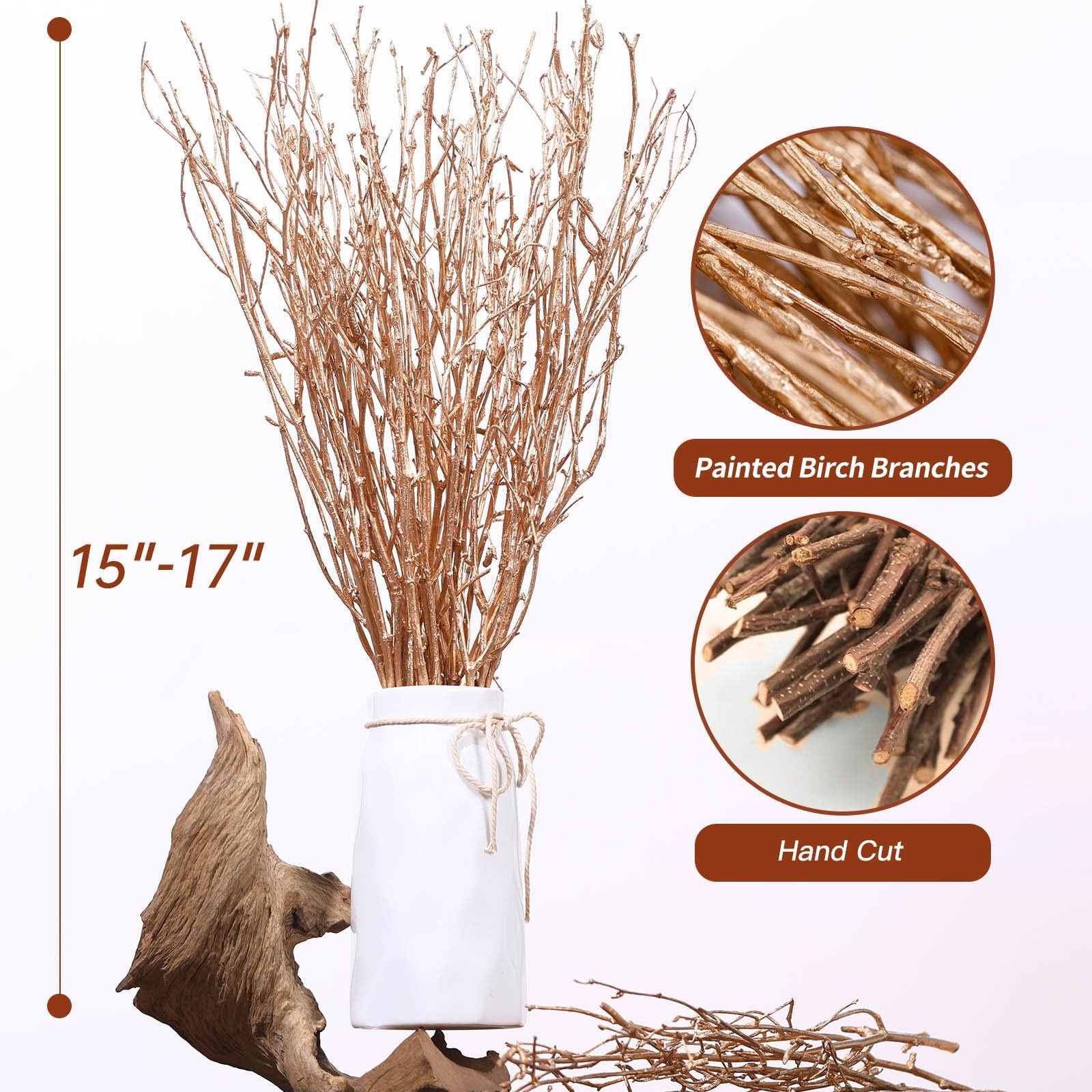 Real Dried Birch Twigs – Painted Golden Decorative Birch Branches for Vase, C…