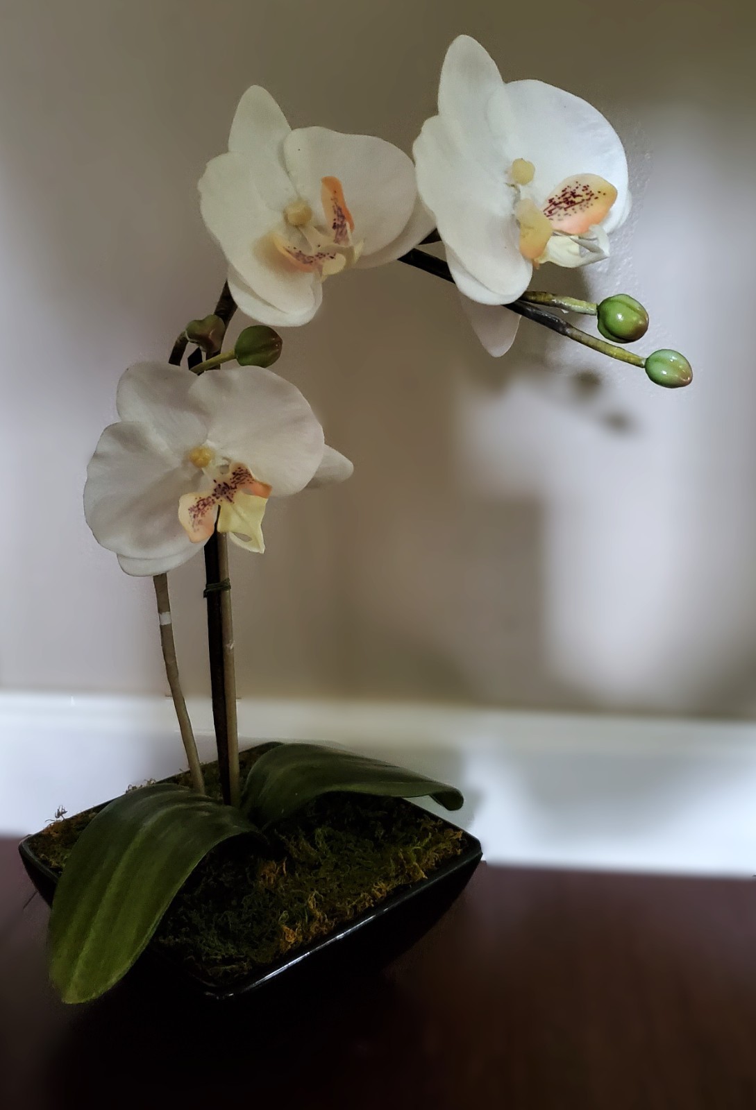 Artificial Flower Arrangement White Phalaenopsis Orchid 16″ in 6x6x2.5 black pot