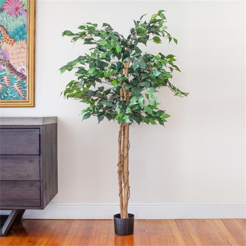 Pemberly Row 60″ Ficus Tree with Natural Wood Trunks in Green/Black
