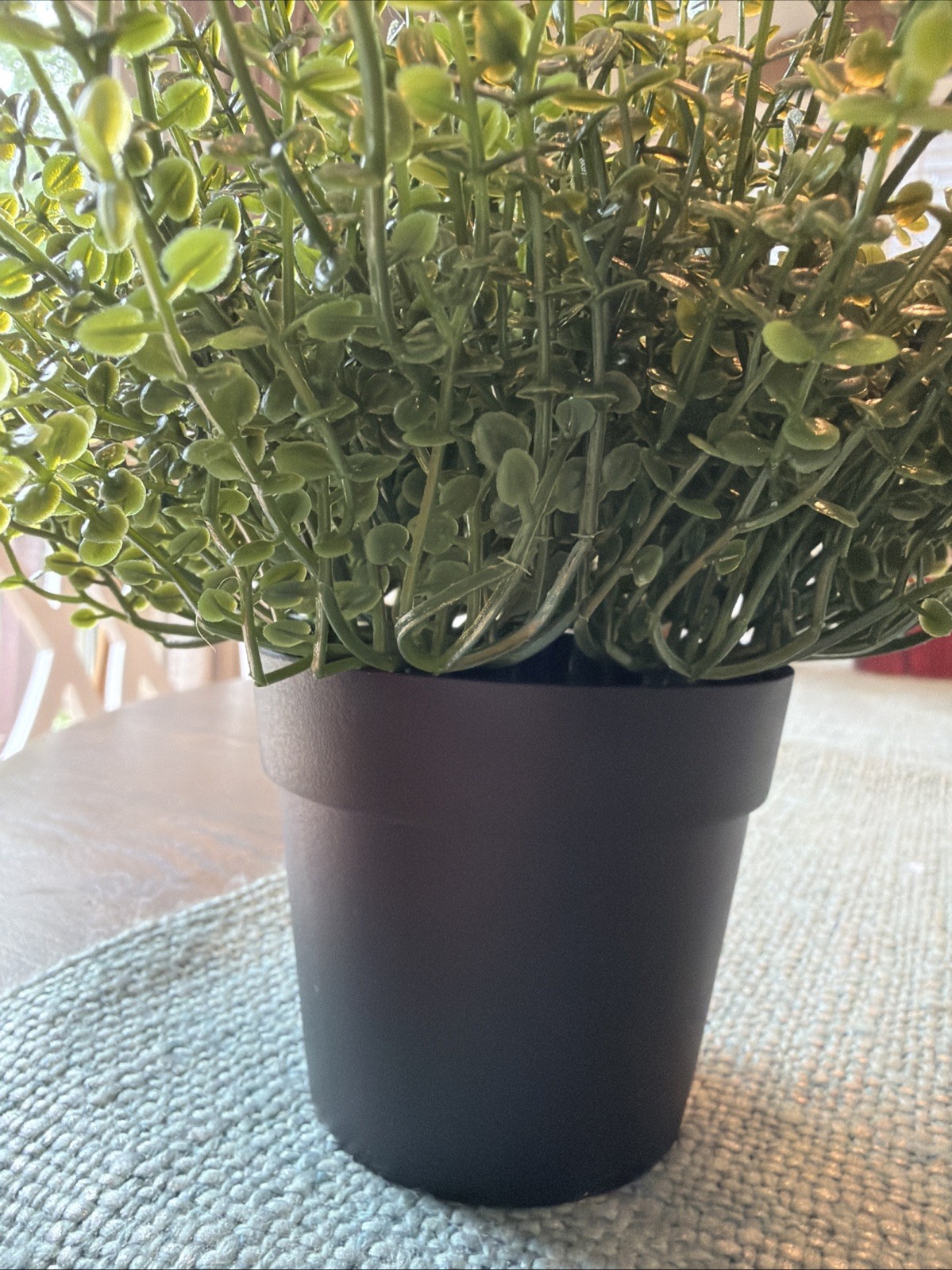 IKEA FEJKA Artificial Potted Plant Herb Thyme Indoor Outdoor 8 Inch Cottagecore
