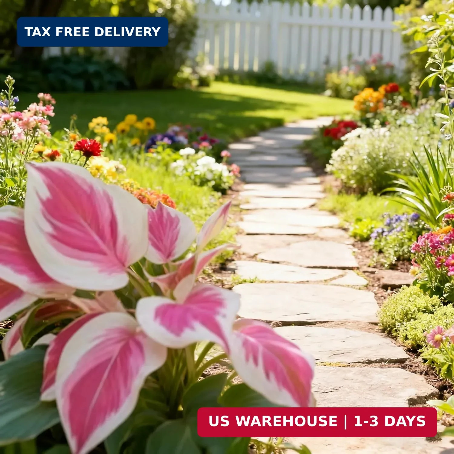 Hosta Seeds for Planting, 310+ Mixed Rare Hosta Seeds, Perennial Flower Palnts,