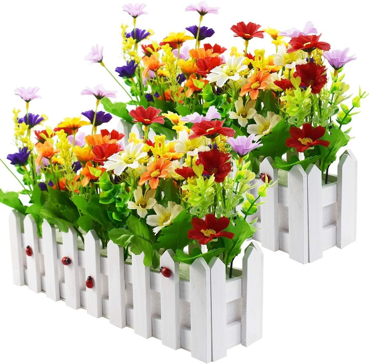 Charming Mixed Color Daisy Plants in Fence Pots for Home and Wedding Decor