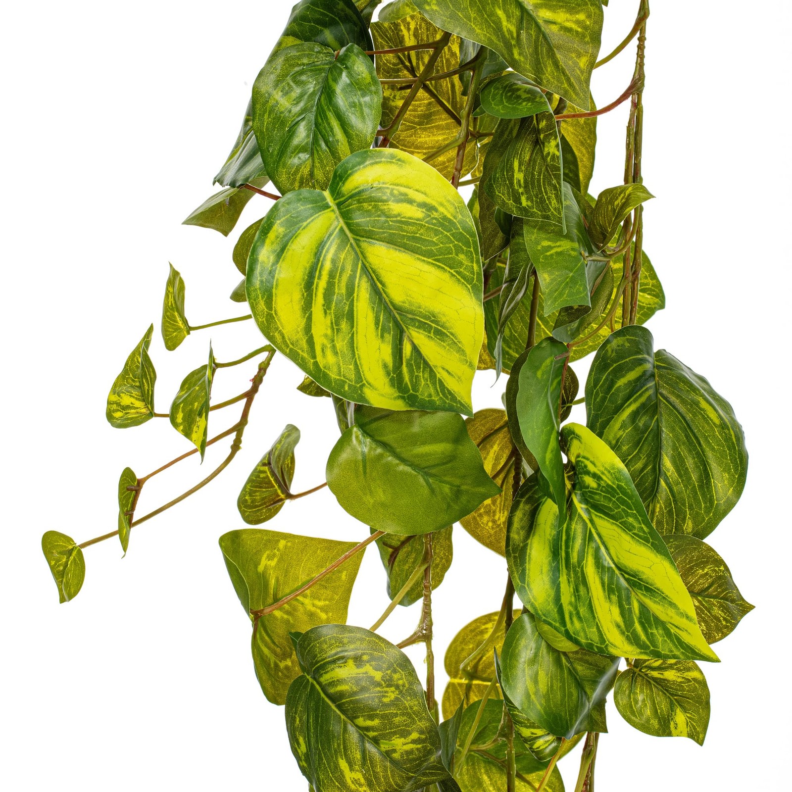 Vickerman 51″ Contemporary Fabric Artificial Pothos Hanging Bush in Green