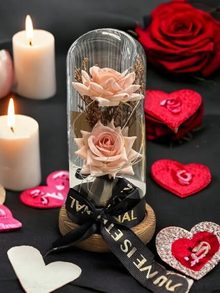 Preserved Rose Gifts for Women Forever Real Rose in Glass Dome Romantic Rose …
