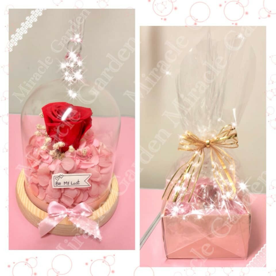 Hand-crafted Preserved Fresh Rose Flower In Glass Dome – Gift/ Mother Day’s Gift
