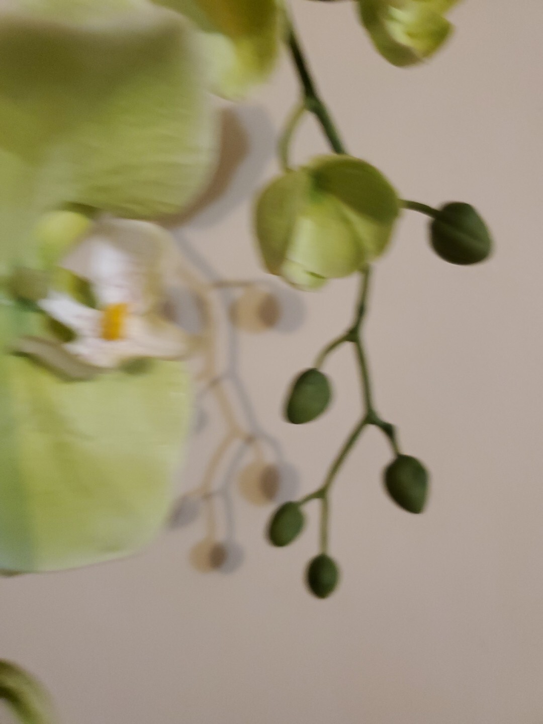Orchid Stem Green Artificial Flowers Real Touch Plastic
