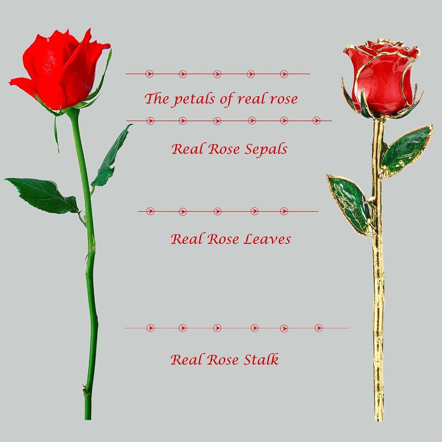 Romantic Rose gift for her,Eternity Gold Rose Flower 24k Gold Dipped Rose and…