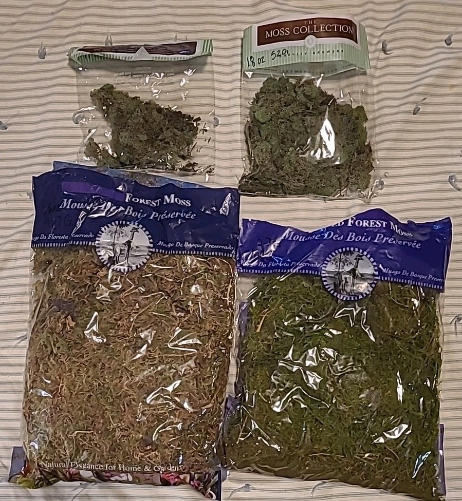 SuperMoss Forest Dried Moss Planters Pots Container Gardens Natural Green Plants