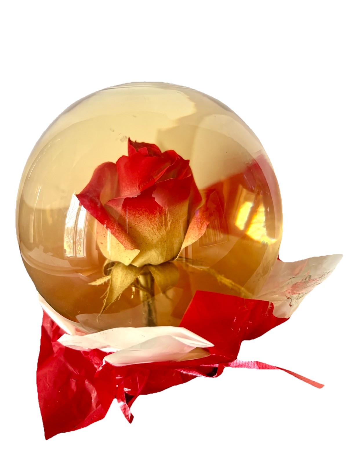 Vtg Forever Red Rose Preserved in Glass Water Globe Romantic Retro Gift Decor 7”