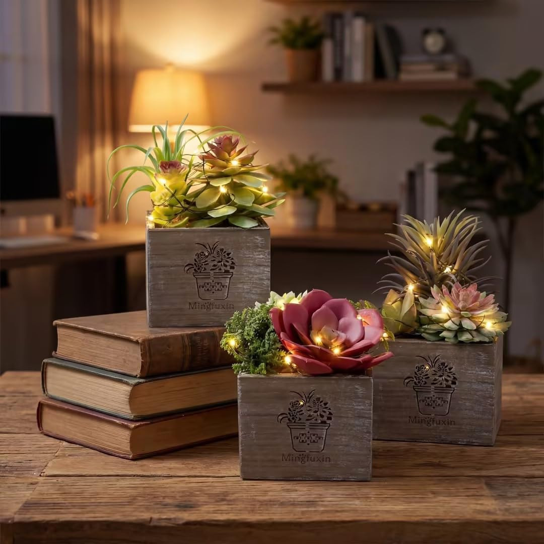 Mini Succulent Plants with LED Lights – 3 Pack for Home & Office Decor