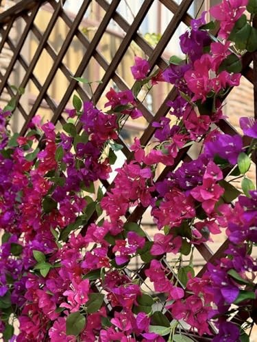 12PCS Bougainvillea Artificial Flowers 31.50″ Long Stem Faux Silk Fuchsia Mixed