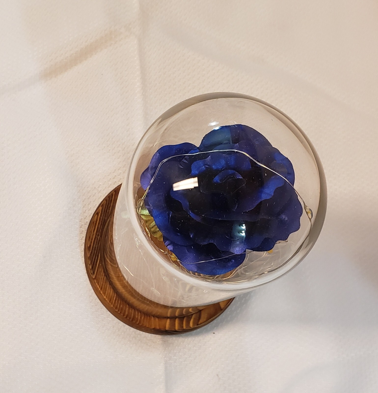 Dark Blue And Gold Forever Rose Led Glass Dome
