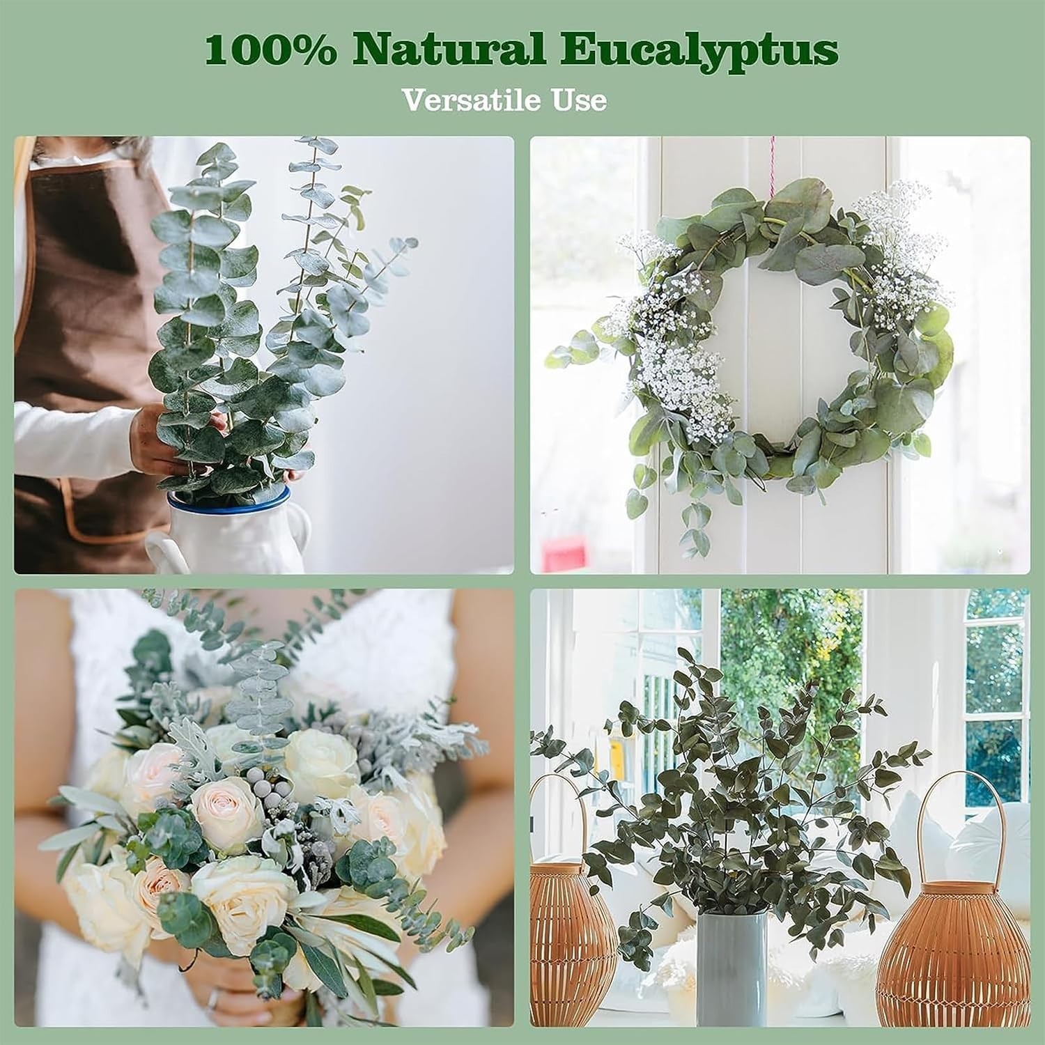 16 Pcs Real Dried Eucalyptus Stems, 17″ Natural Fresh Eucalyptus Branches for…