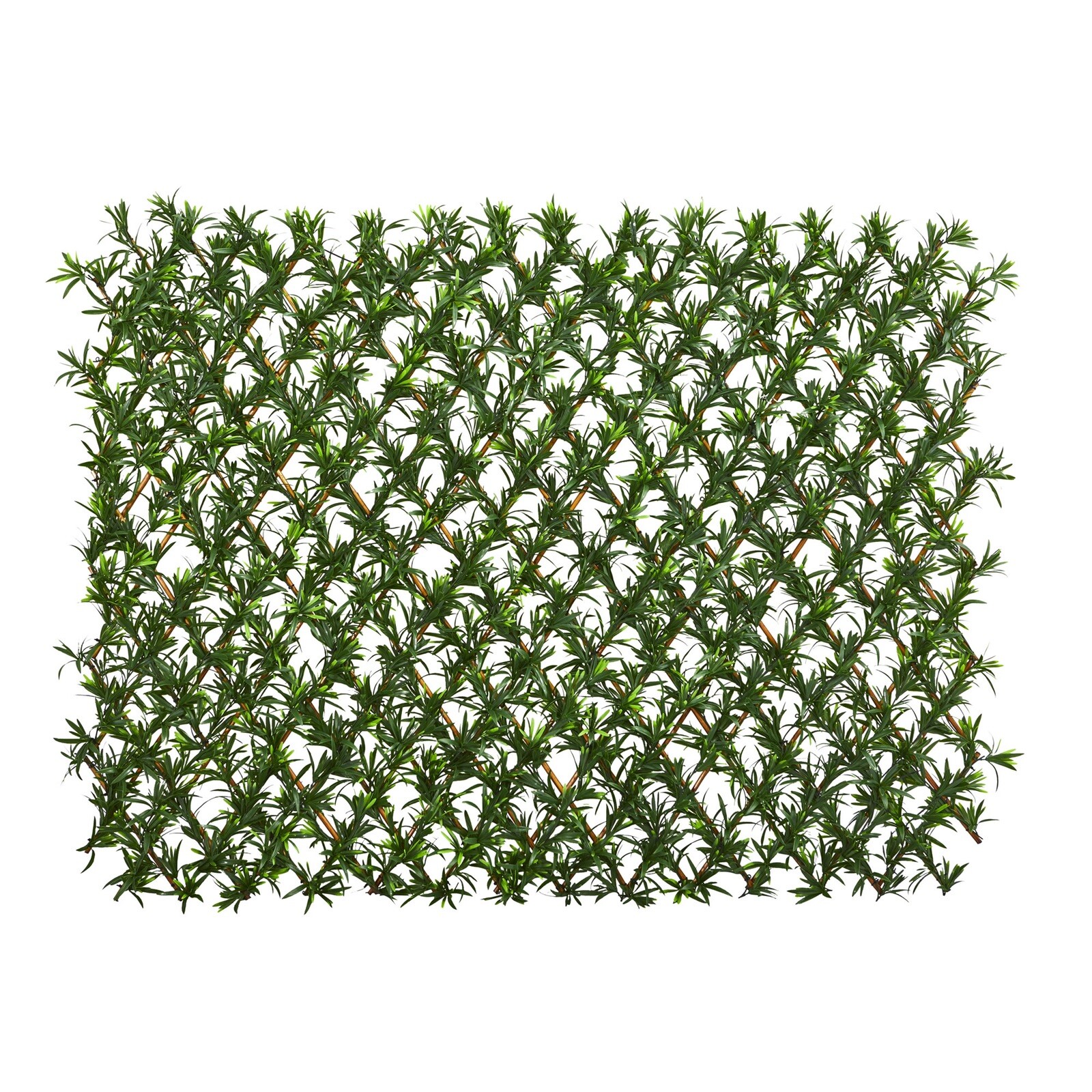 39” Podocarpus Expandable Fence UV Resistant & Waterproof Trellis. Retail $370
